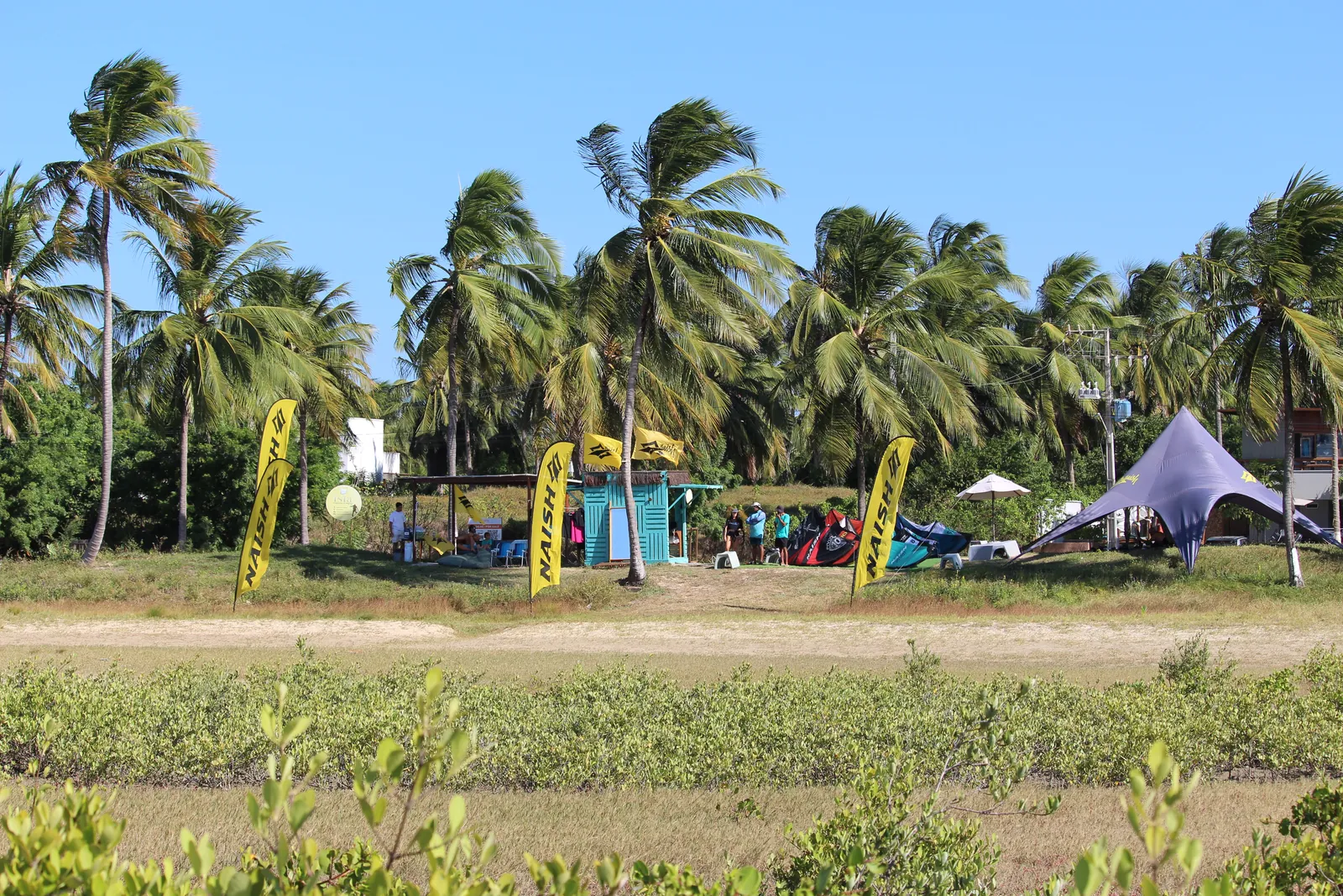Kitesurfers riding the flat water of the Ilha do Guajirú lagoon during wind season, with the village and palm trees behind